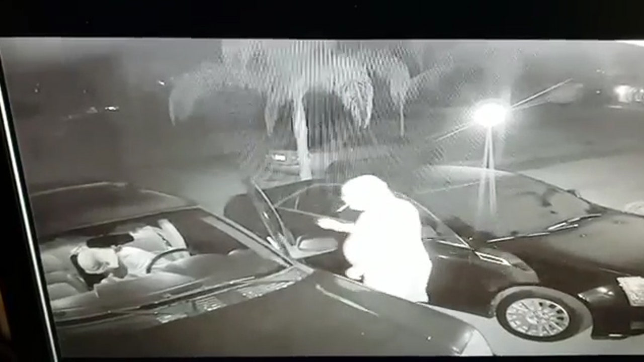 Video Homeowner confronts Lakewood Ranch car burglar FOX 13 Tampa Bay