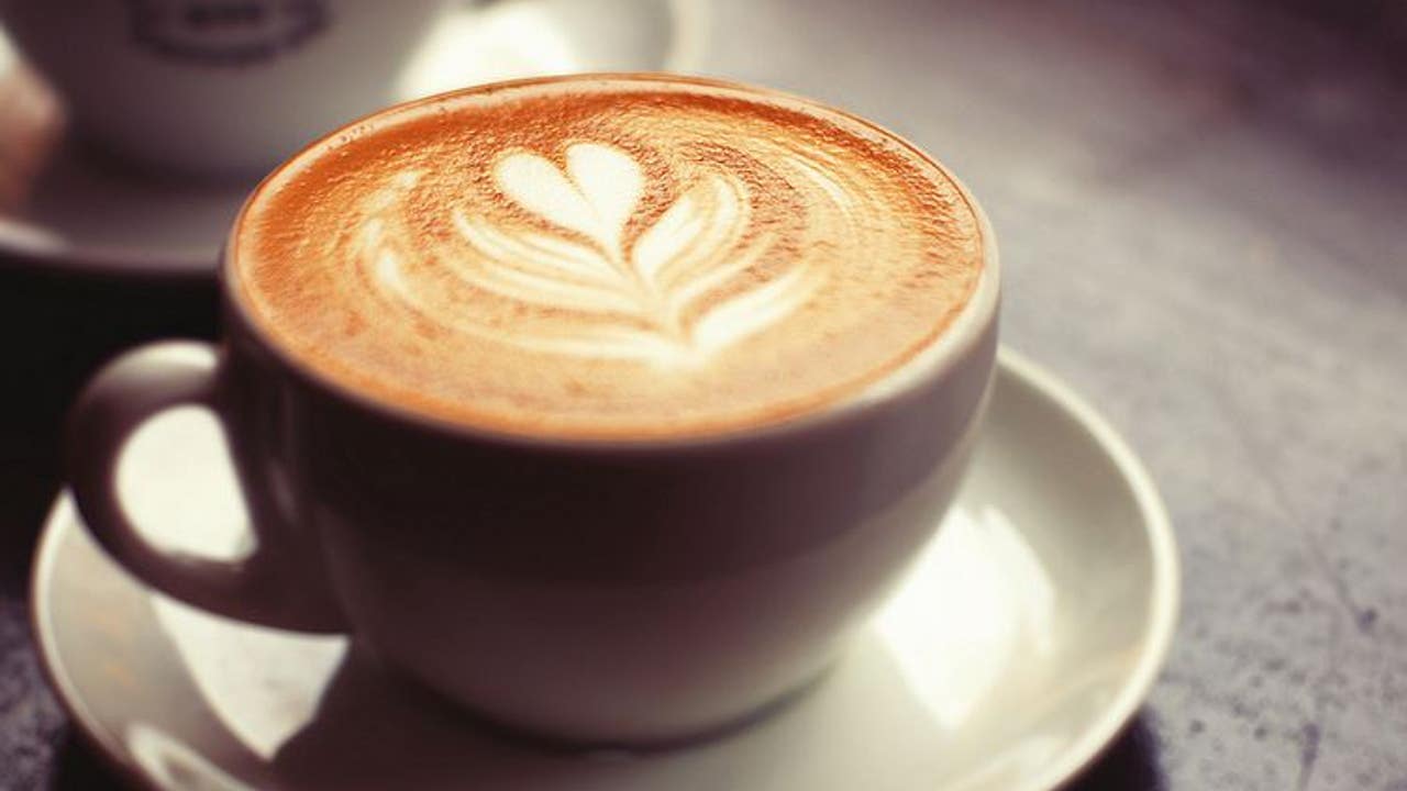 Tampa named one of best coffee cities in America: Report - Vimarsana News