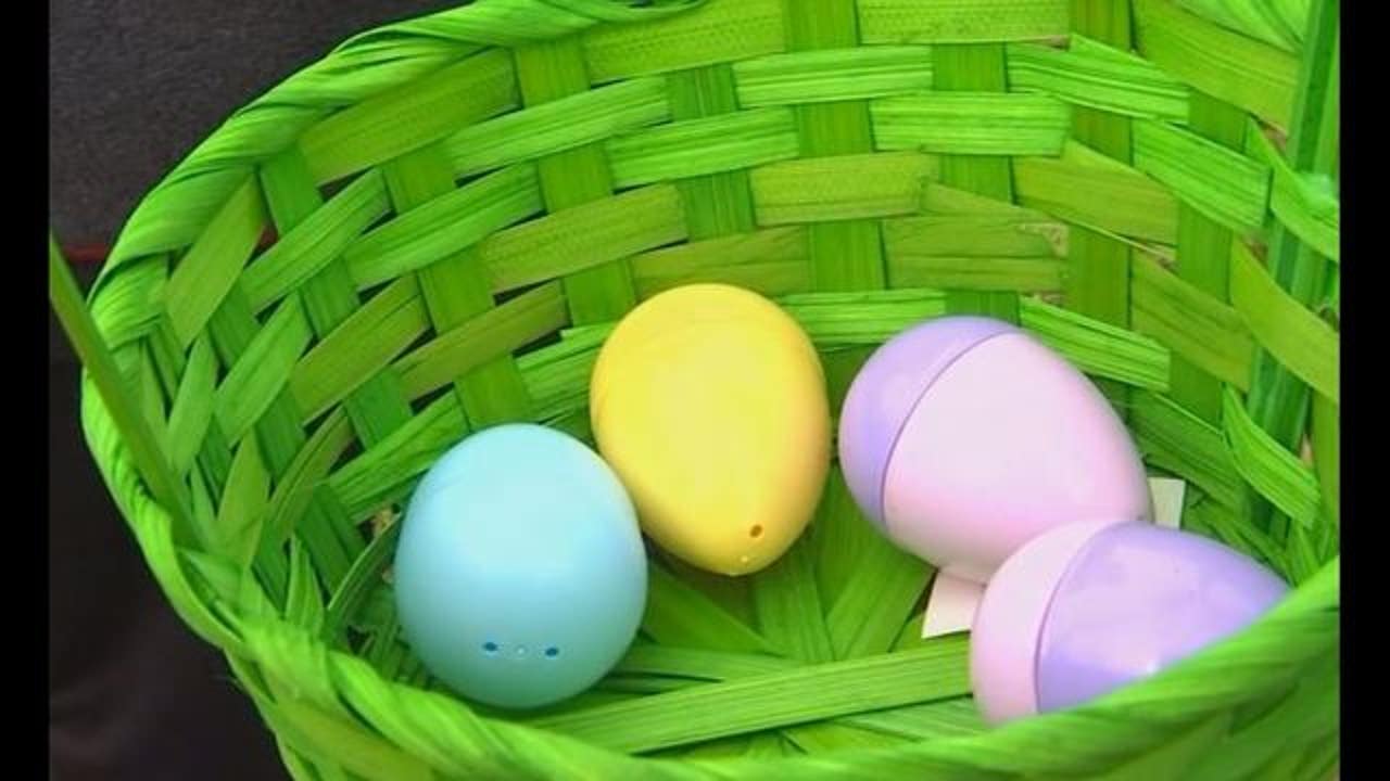Sex Offender Playing Easter Bunny At N D Mall Arrested