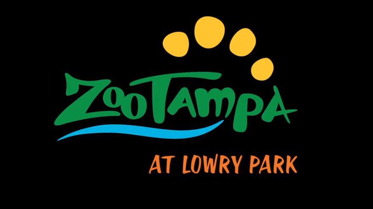 After 30 years, Lowry Park Zoo gets new name FOX 13 Tampa Bay