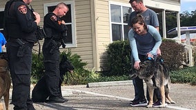 Tears flow as aging military dog gets hero's sendoff in Lakeland