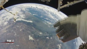 SpaceX brings back Florida's space tourism