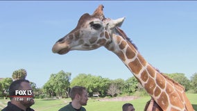 Summer camp offers up close and personal view of Busch Gardens