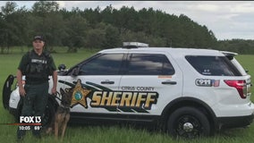 Citrus SO unwilling to part with K-9 after handler goes on medical leave