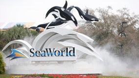 After furloughing 95% of workers, SeaWorld seeks federal loan