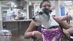 Daisy the therapy dog spreads a little joy to children at the Ronald McDonald House