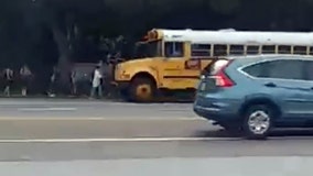 Parents frustrated by cars passing stopped school bus in Palm Harbor