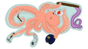 Pasco 8th-grader's drawing in finals of Google Doodle contest