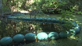 Water goat installed along Hillsborough River in Temple Terrace