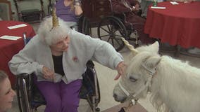'Spirit' the therapy unicorn spreads joy to those who need it