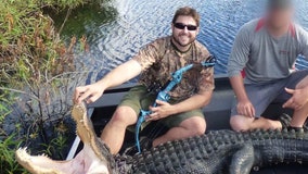 Man recovers after alligator nearly bites off hand