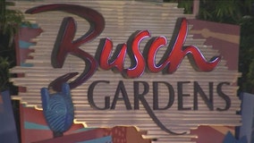 Busch Gardens, Adventure Island not requiring masks for fully vaccinated guests