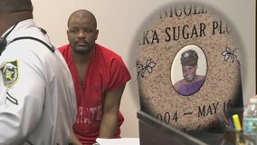 Murder suspect's pricey expert witness request granted