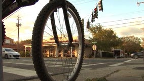 AAA: Florida is the deadliest state for bicyclists