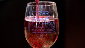 Keel & Curley Winery has been serving Plant City for over a decade