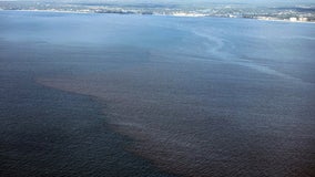 Red Tide continues to affect waters off SW Florida beaches