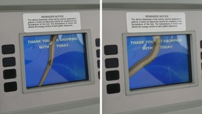 Snake inside pump surprises customer getting gas