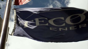 TECO outlines plans for base rate hikes