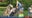 Go to summer camp at Busch Gardens Tampa