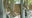 Knock, knock: snake wraps itself around Florida home's porch door