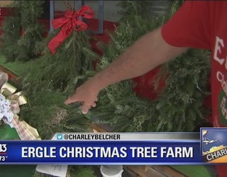 Choose And Cut Your Christmas Tree At Ergle Farm