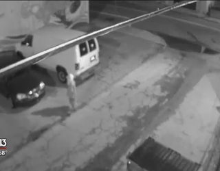 Vandals Splash Paint Over St Pete Murals
