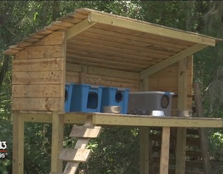 Manatee County Program Helps Feral Cats