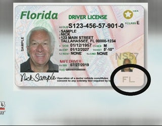 More Changes Coming To Florida Driver S Licenses