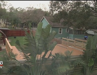City To Discuss Fate Of Backyard Half Pipe In Seminole Heights