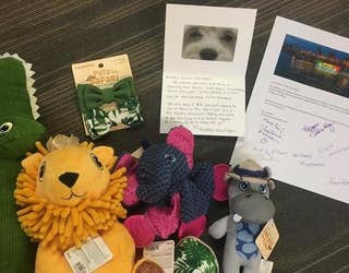 Ex Husband Sends Former Dog Birthday Greetings