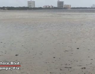 Hurricane Irma Drains Tampa Bay Area Waterways Fox 13 Tampa Bay