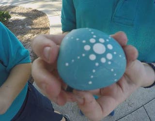 Lakeland Rocks Residents Hide Painted Stones Around City