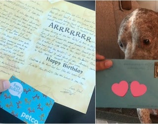 Ex Husband Sends Former Dog Birthday Greetings