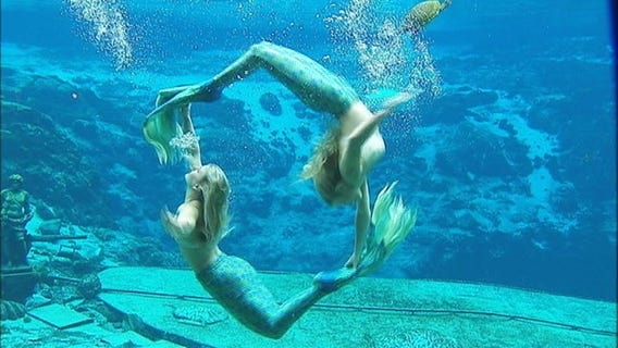 One Tank Trip: Weeki Wachee Springs