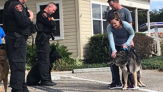 Tears flow as aging military dog gets hero's sendoff in Lakeland