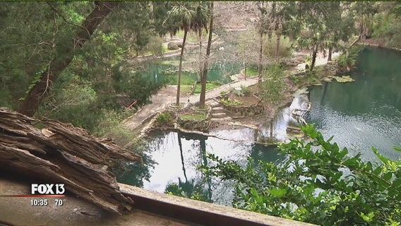 Florida rock quarry transformed into garden