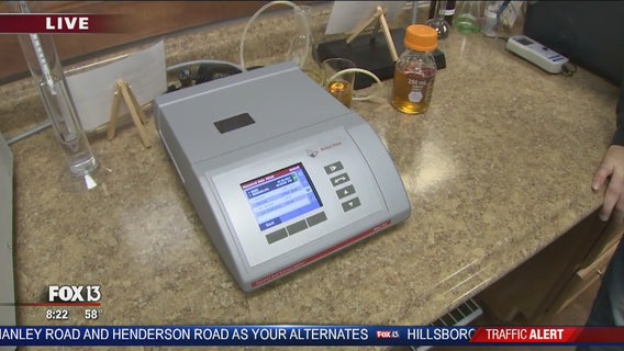 Charley at 3 Daughters Brewing for Tampa Bay Beer Week