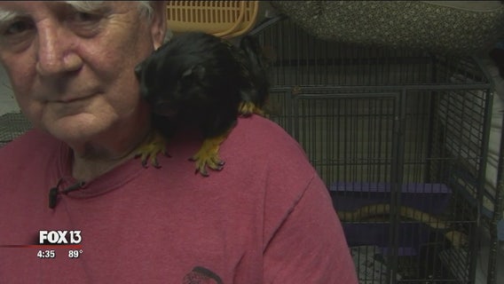 Bradenton couple helps thousands of animals yearly
