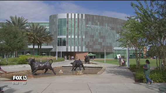 USF makes list of top 50 public universities