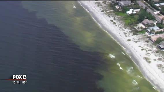 How to avoid feeling sick from red tide