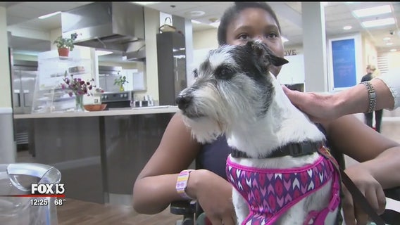 Daisy the therapy dog spreads a little joy to children at the Ronald McDonald House