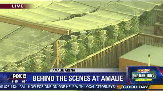 One Tank Trip: Behind the Scenes at Amalie Arena