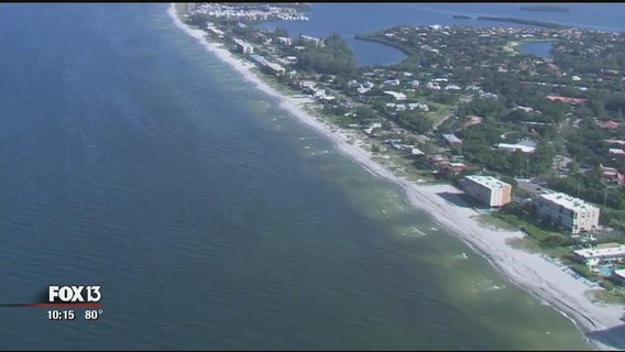 Researchers watch for spread of red tide to Pinellas beaches
