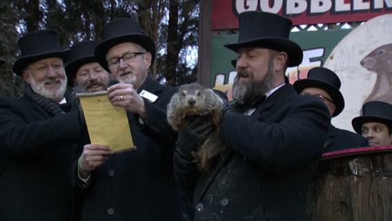 Punxsutawney Phil does not see shadow, forecasts early spring