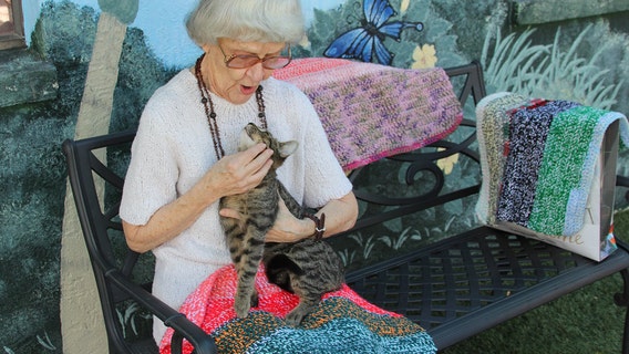 90-year-old woman knits for Polk County cats waiting for forever homes