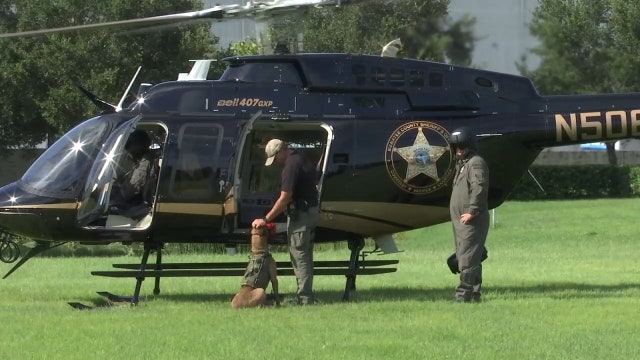 K-9s trained to fly in Manatee County