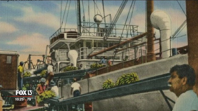 Bananas arrive in Port Tampa Bay after decades-long hiatus