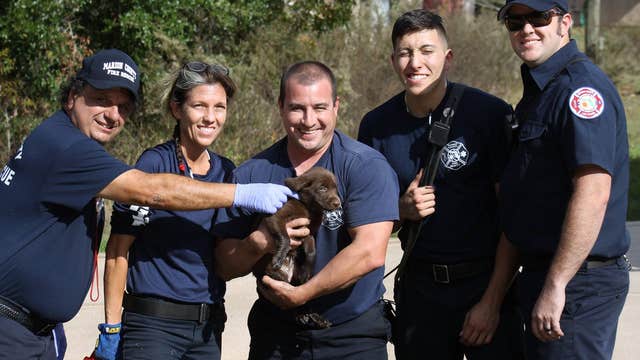 Marion County firefighters rescue puppy from storm drain