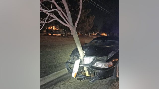 Cops catch drunk driving suspect thanks to 15-foot tree on front of car