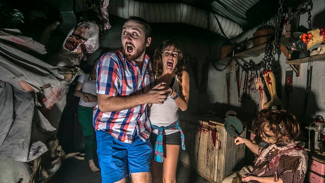 Busch Gardens seeking scary employees